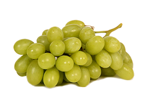 Regal (White Seedless) 