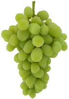 Prime (White Seedless) 