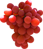 Ralli (Red Seedless) 