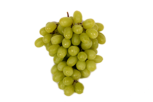 Thompson (White Seedless) 